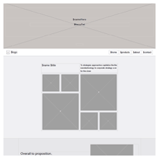 Whitelabel - Wireframe - Prototype UX UI Design &Development